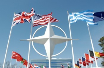 «Наши политические кланы боятся стандартов НАТО»