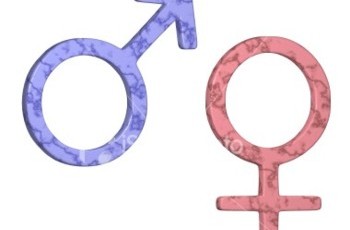 Гендерное равенство или гендерная реальность: современное представление о мужских и женских ролях в Швеции и Украине