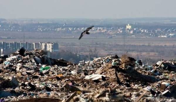 В «Свободі» проблему сміттєвого колапсу у Львові пояснили бездіяльністю Садового