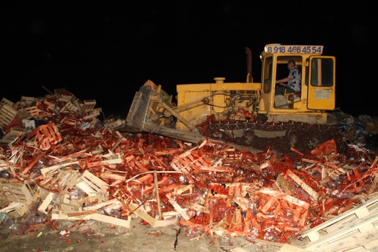 В Росії бульдозером розчавили 38 тонн української полуниці