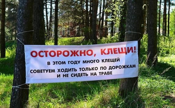В окупованому Криму нова халепа - нашестя кліщів