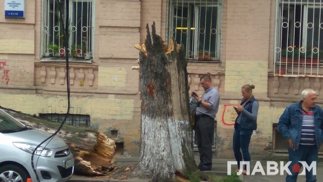 В центрі столиці зламане дерево пошкодило відразу декілька автівок