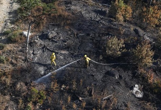 Масштабна лісова пожежа у Канаді: горить 240 га
