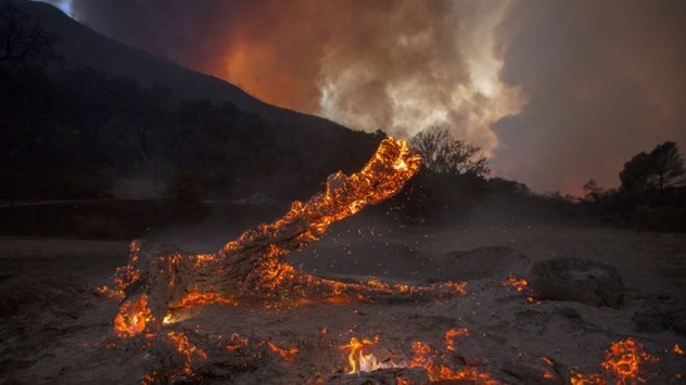 Лісові пожежі у Каліфорнії: згоріли майже 200 будинків, є постраждалі