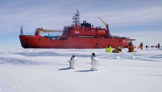 Вчені в Антарктиді виявили величезну тріщину 