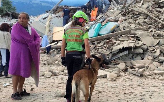Землетрус в Італії: кількість жертв зросла до 293 осіб