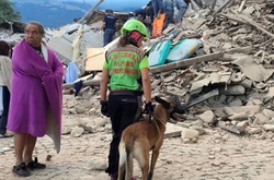Землетрус в Італії: кількість жертв зросла до 293 осіб