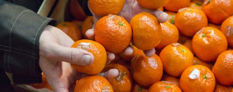 Росія відновила імпорт овочів і фруктів з Єгипту