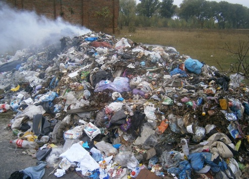 На пасовищі у Хмельницькій області виявили 20 тонн львівського сміття