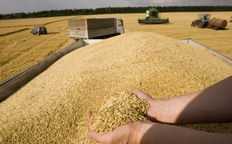 США підвищили прогноз експорту зерна з України на 1,4 млн тонн