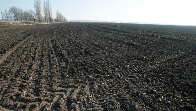 Чи готові українці до запуску земельного ринку?