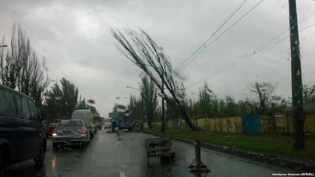 В КМДА порадили уникати великих дерев – в Києві сильний вітер