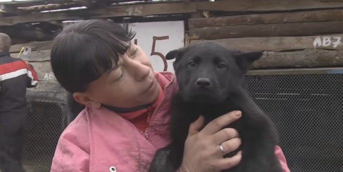 Волонтери просять допомоги в облаштуванні притулку для собак на Київщині