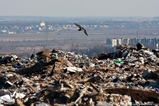 Суд припинив експлуатацію Грибовицького сміттєзвалища