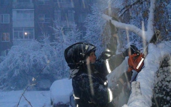 Снігопади знеструмили півтисячі населених пунктів в Україні