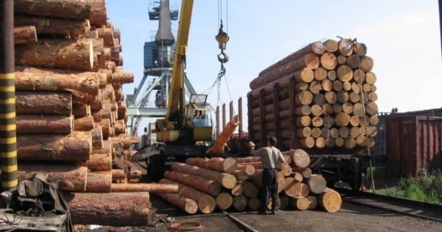 Експерт розказав, чим замінять мораторій на експорт деревини