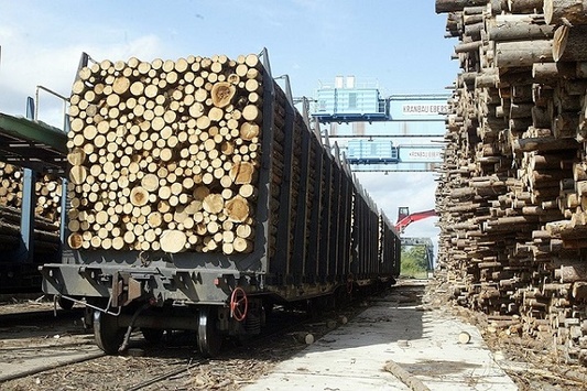 Мінекономрозвитку пояснило, чому потрібно скасувати мораторій на експорт лісу