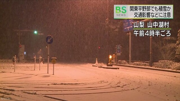 У Токіо вперше за півстоліття випав сніг в листопаді