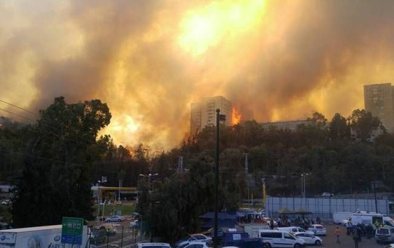 В Ізраїлі загасили пожежі – за підозрою в підпалах затримали 35 людей