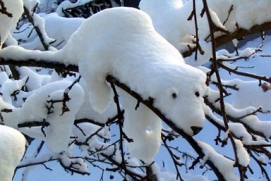 Перший день зими прийде в Україну зі снігом