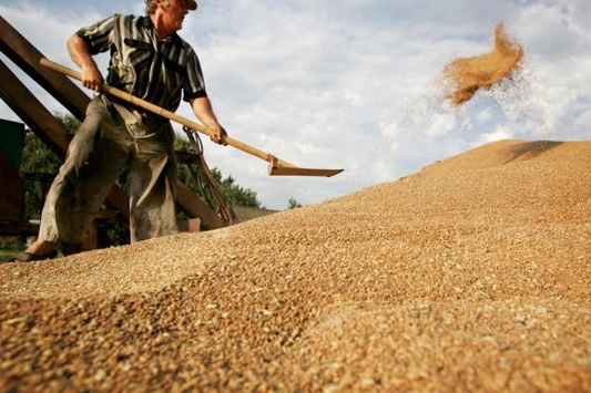 Українські аграрії побили зерновий рекорд