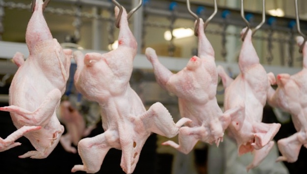 ЄС заборонив ввезення з України м’яса птиці та продуктів з нього 