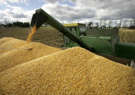 НАБУ розкрило корупційні «зернові» схеми на 70 млн грн