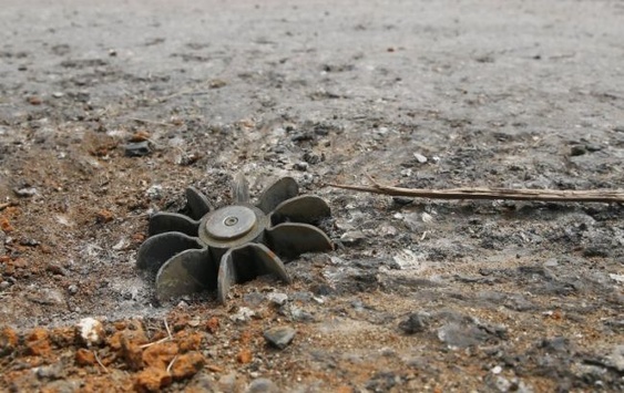 На Житомирському полігоні під час навчань вибухнула міна, двоє поранених