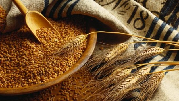 Україна вже експортувала понад 20 млн тонн зерна