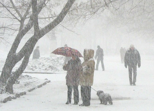 Синоптики назвали області України, де снігу випаде найбільше