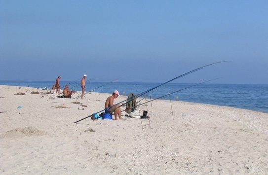 Азовське море може залишитися без риби