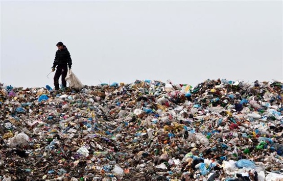 Екологи нарахували на Львівщині 327 незаконних сміттєзвалищ
