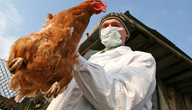 У Китаї зафіксували ще один випадок захворювання на пташиний грип