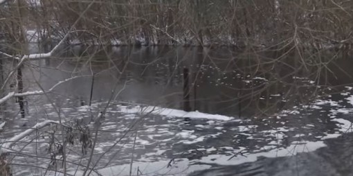 Річка з нечистот отруює життя жителям Київщині 