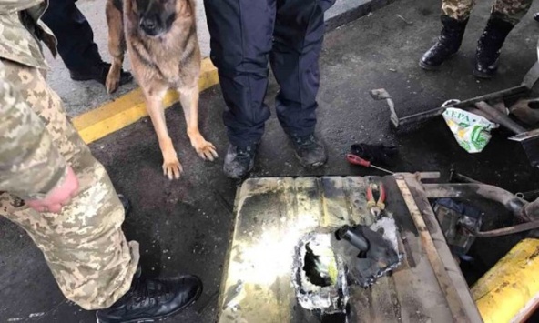 На Харківщині пес-прикордонник допоміг виявити 6 кг марихуани, яку хотіли вивезти до РФ