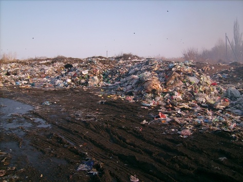 На Полтавщині вивантажено п’ять фур львівського сміття