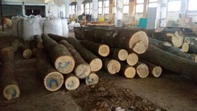 На Волині правоохоронці виявили нелегальну деревину на 100 тис. гривень