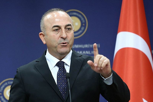 Франція не перешкоджатиме виступу турецького міністра Чавушоглу