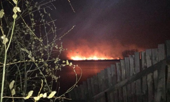 Рятувальники загасили пожежу на масиві Осокорки у Києві 