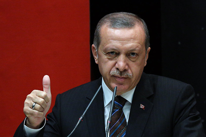 Ердоган розповів про результат, який очікує від референдуму в Туреччині