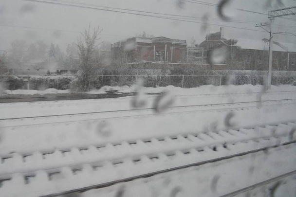 Квітневий снігопад наробив лиха в Україні 