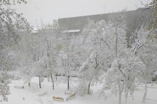 До четверга у Харкові та Дніпрі випаде більше 20 см снігу (карта)