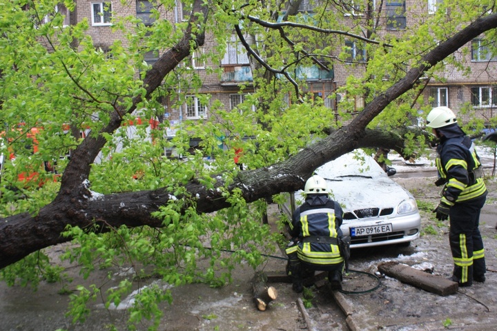 Негода в Україні: повалено майже три тисячі дерев, є жертви