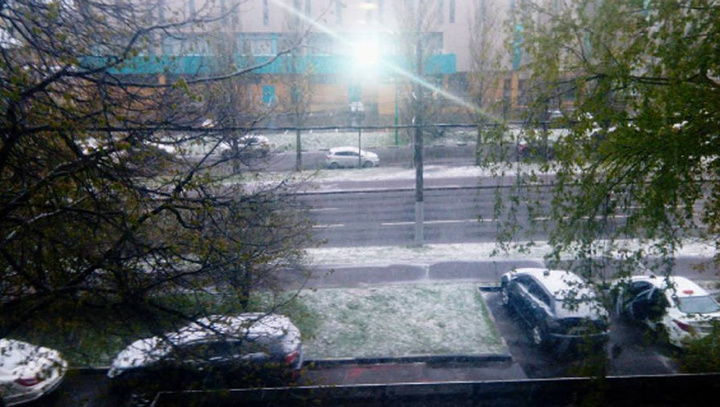 У Москві випав травневий сніг