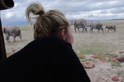 Наречена Володимира Кличка вирушила в Африку рятувати слонів
