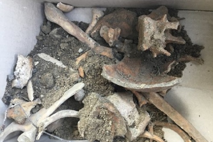 Реставратори знайшли у Львові масові поховання людей
