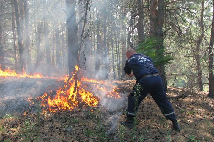 Рятувальники попередили про пожежну небезпеку у дев’яти областях 