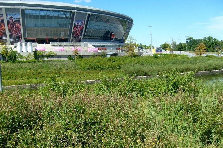 Бур'яни та болото. Як сьогодні виглядає колись надсучасна «Донбас-Арена»