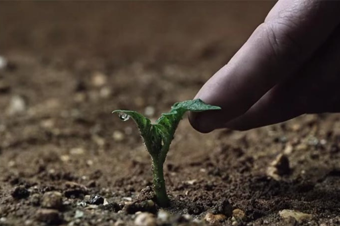 ����� ���� ���������� �������� �� ̳����