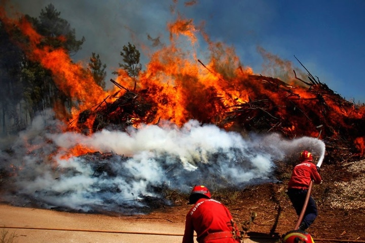 Лісові пожежі у Португалії: кількість загиблих зросла до 57 осіб 
